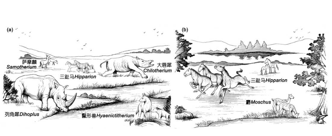 《科学通报》:新生代温室和冰室气候背景下动物区系的演变