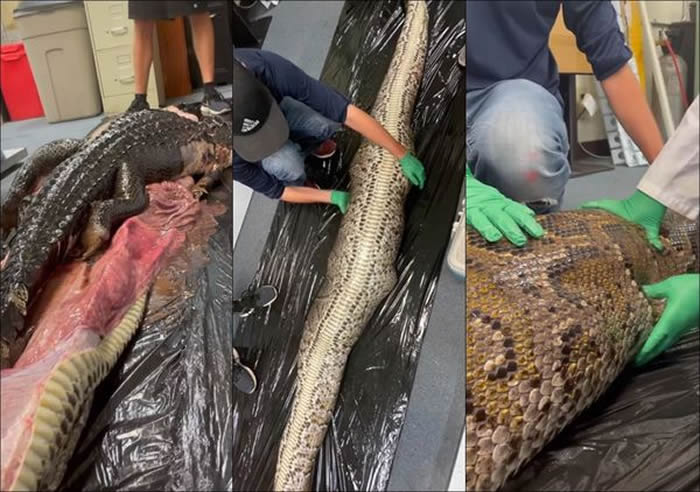 ŮѧŶӽһ18Ӣ Ӿڳһֻ