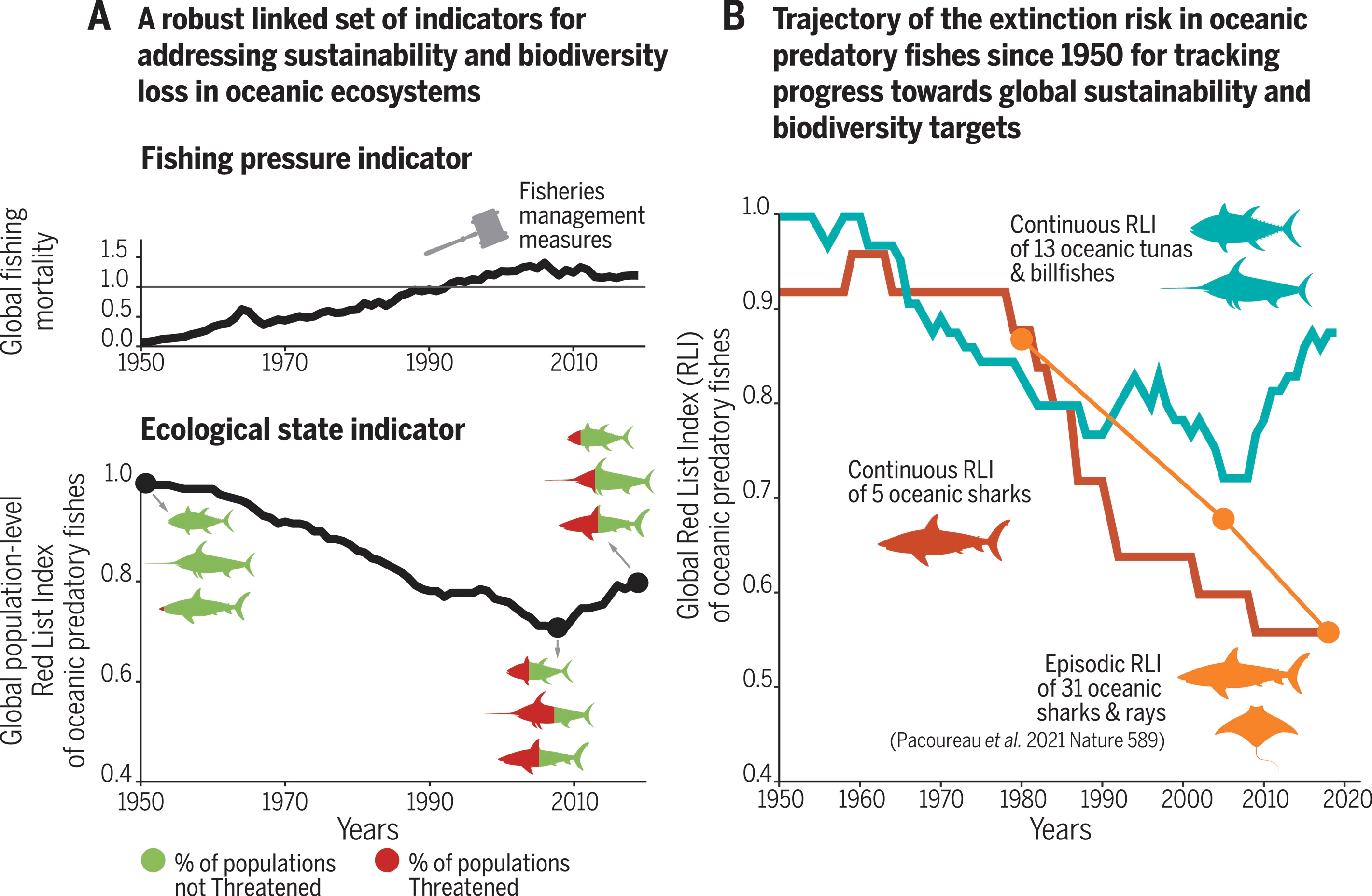 金枪鱼和长嘴鱼数量得到恢复 但鲨鱼的生物多样性则在继续下滑
