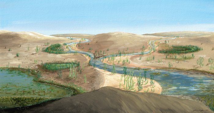 破解植物学百年之谜：古代植物如何从沼泽和河岸生长到水源有限的新栖息地