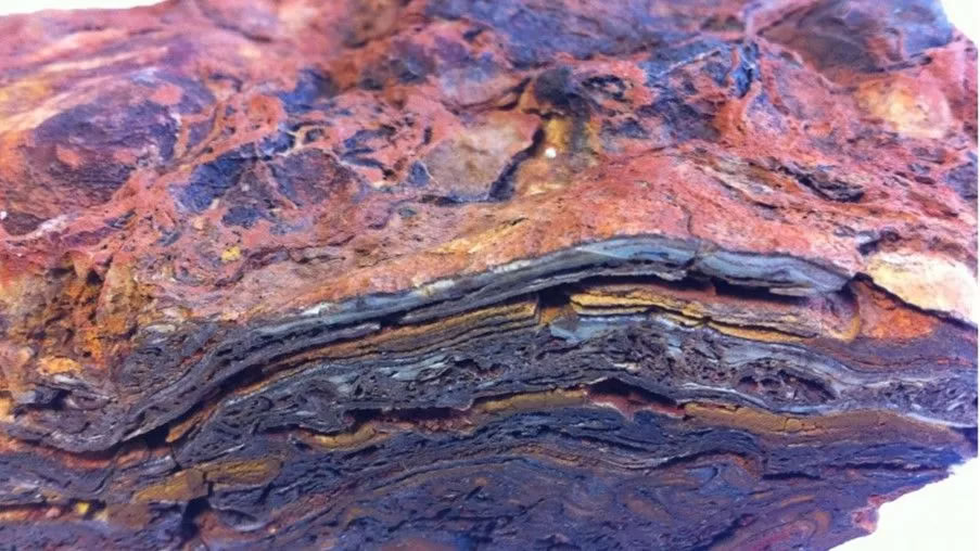 距今34.8亿年：西澳大利亚层状岩体中的叠层石是地球上已知最早的生命之一