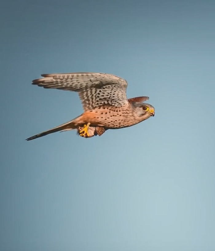 ࣺ¹ҰӰʦĵӰƬ צֻģȤС