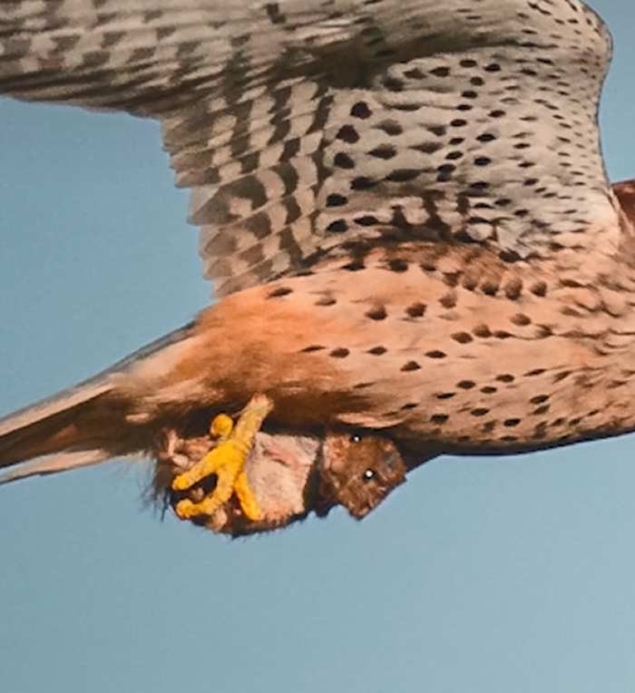 ࣺ¹ҰӰʦĵӰƬ צֻģȤС