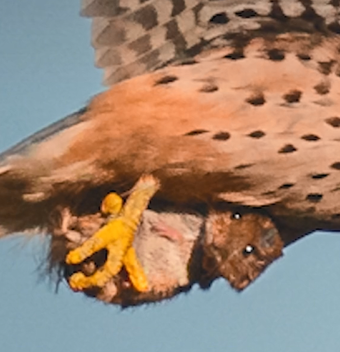 ࣺ¹ҰӰʦĵӰƬ צֻģȤС