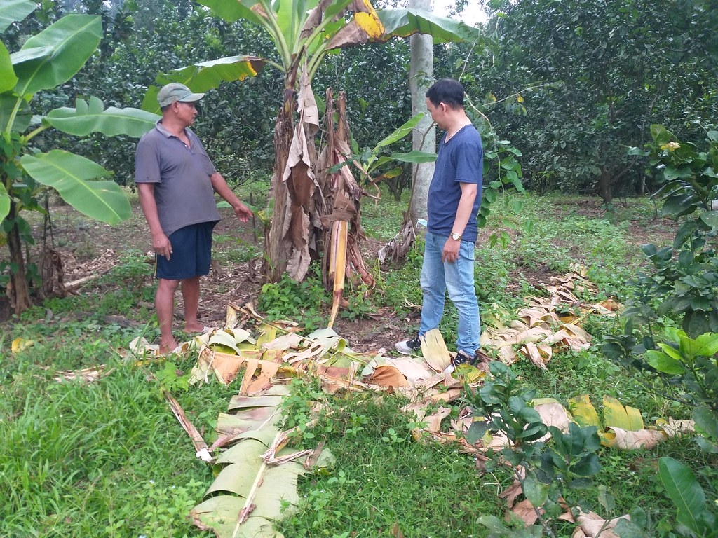 越南人象冲突频繁 博士生蹲点一年找出“以社区为本”的保育策略