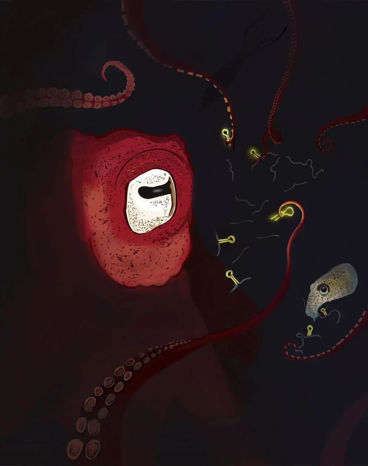 microRNAs可能与头足类动物的复杂大脑的出现有关。资料来源:Grygoriy Zolotarov