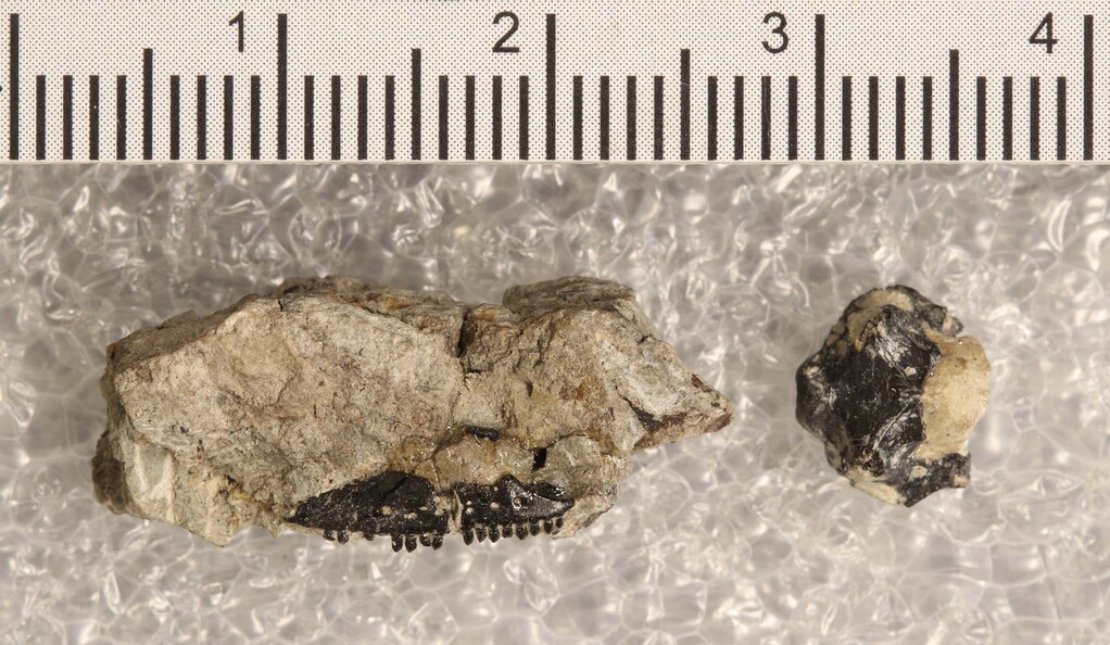 ٪�޼�����ͷ�ǻ�ʯΪ���ж����ݻ������¼���