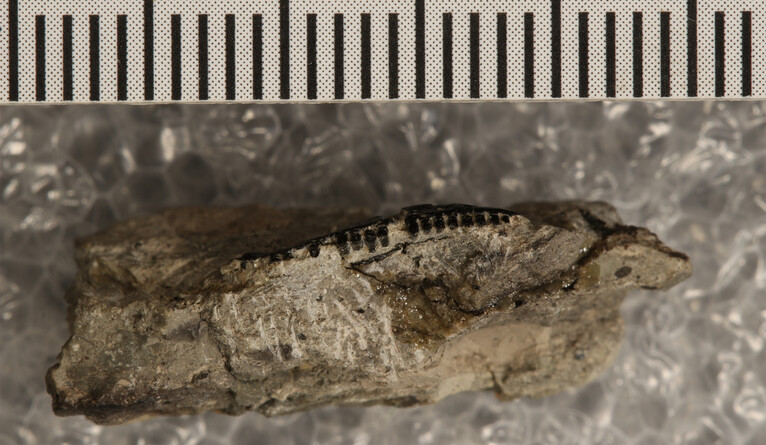 ٪�޼�����ͷ�ǻ�ʯΪ���ж����ݻ������¼���