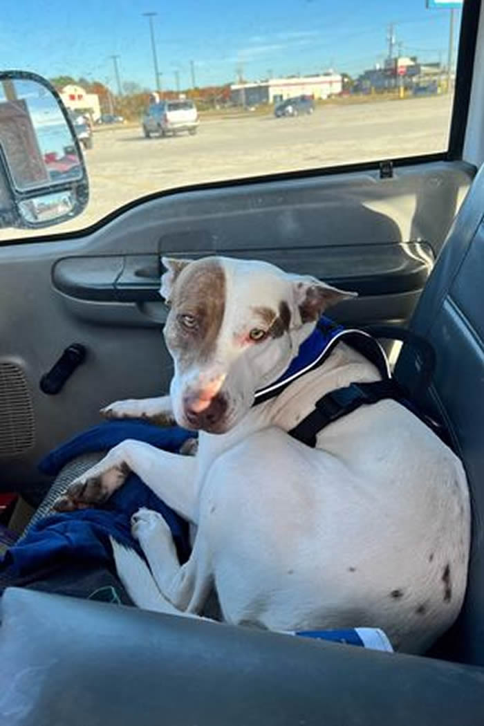 ݻһĴײ 쵽ڼʻϵľȻһֻﹷ