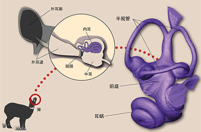 ��ʯ��ۻ��ϵͳ�����ĸ��������ڶ���·Ϊ�߽�Ԫ�����ṩ��Ҫ֤��