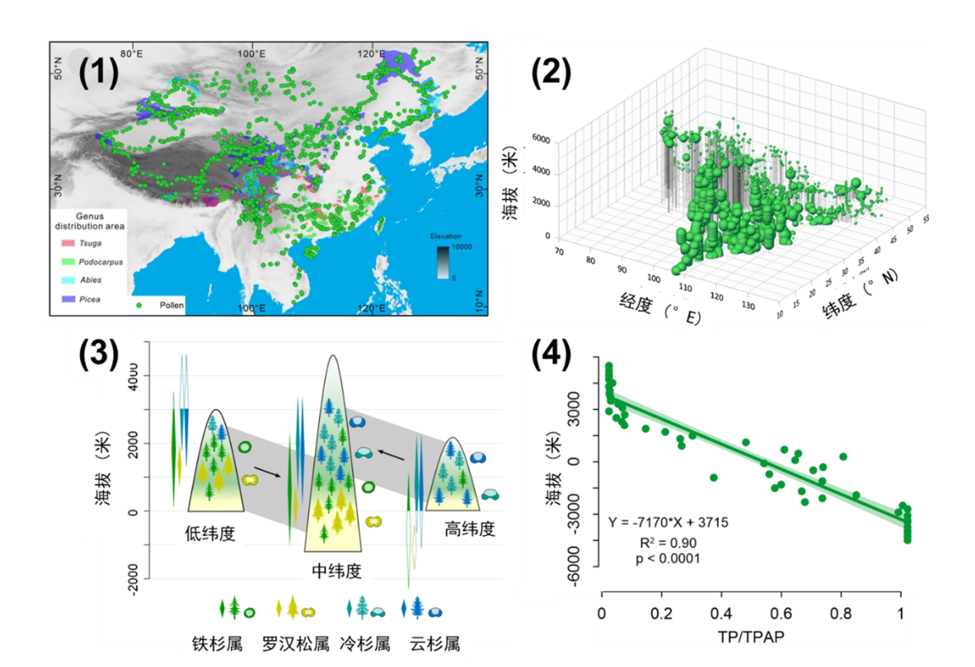 新的生物古高度计指示晚中新世青藏高原东北部快速隆升