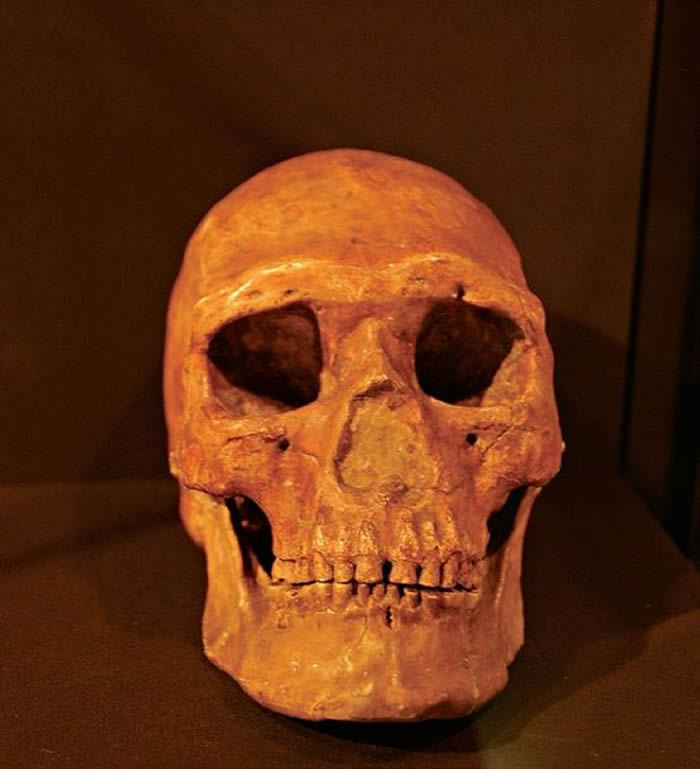 解密发现于北京周口店遗址的山顶洞人