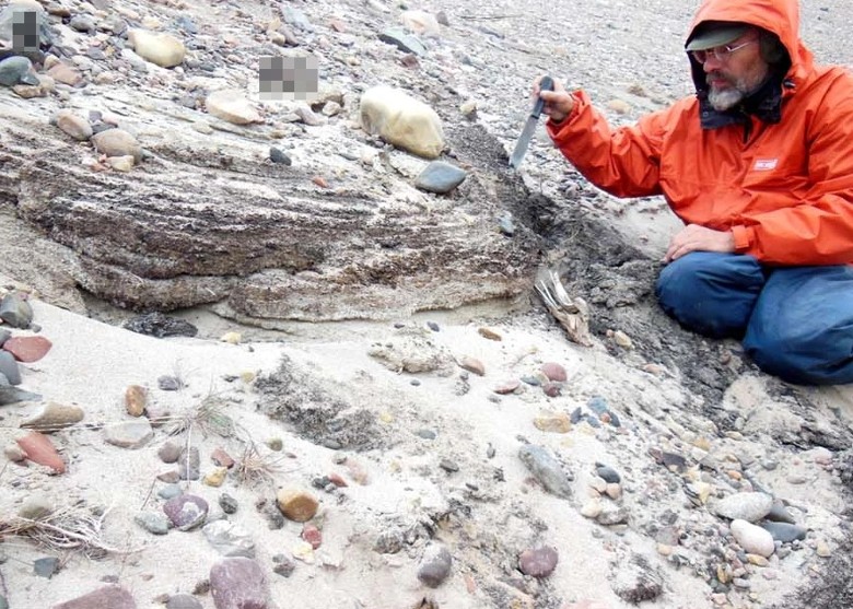 ѧŶڸֹŻ ʾ200ǰ̬ϵͳ