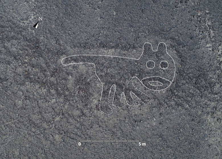 �ձ�ɽ�δ�ѧ�Ŷ�����������³��˹�����������˹�����������˻���������168���ػ�