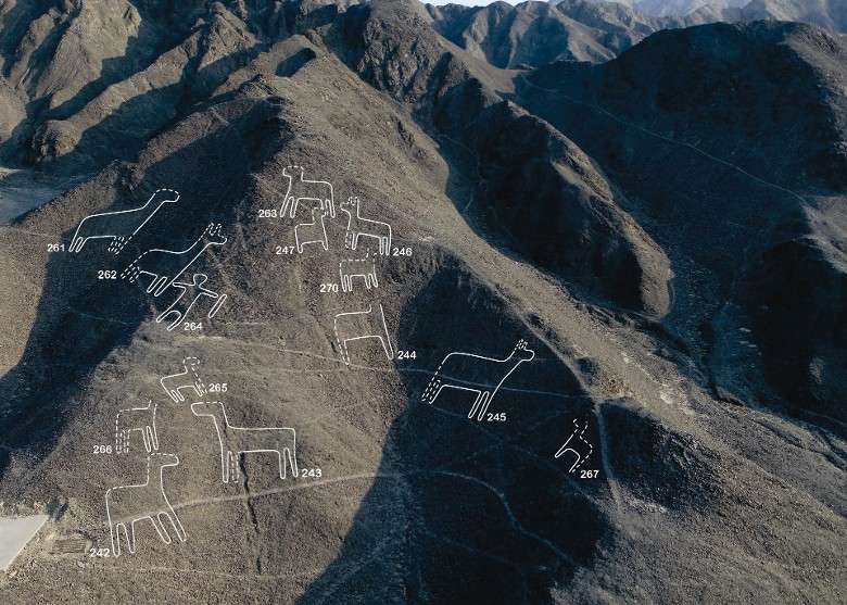 �ձ�ɽ�δ�ѧ�Ŷ�����������³��˹�����������˹�����������˻���������168���ػ�