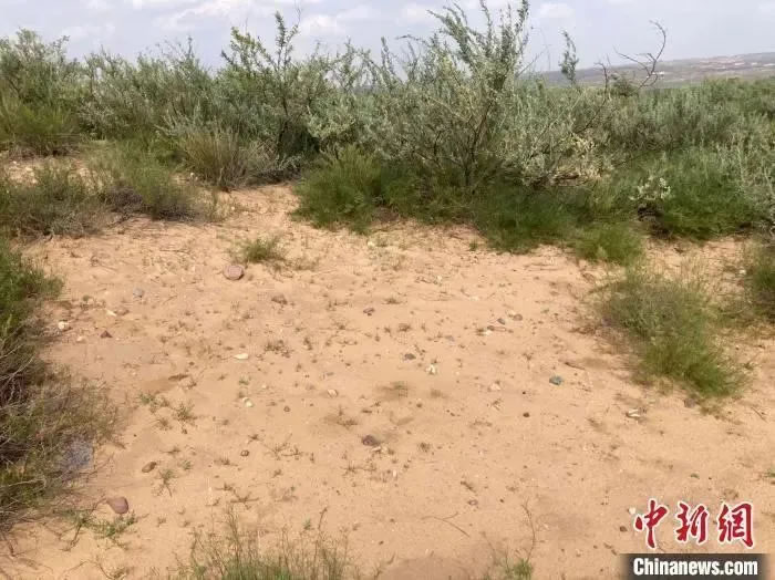 鄂尔多斯东乌兰木伦河流域考古现场。(资料图 刘扬 摄)