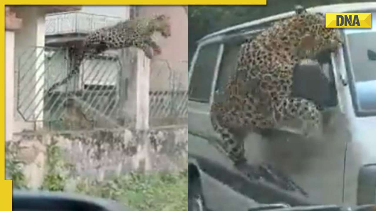 ӡ�Ȱ���ķ���Ƕ����ؼ���Ұ��������ׯ���޲��ŭ����