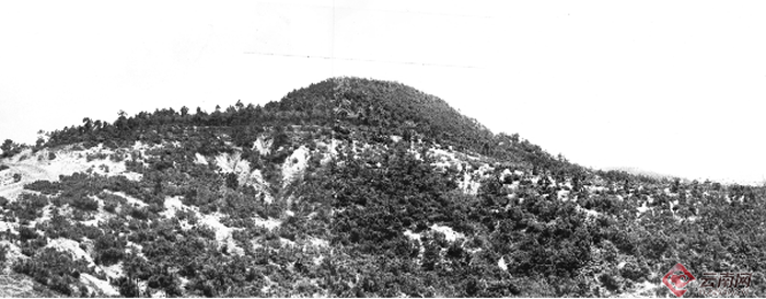 澄江化石群发现者侯先光:揭开5.18亿年前寒武纪生命大爆发面纱