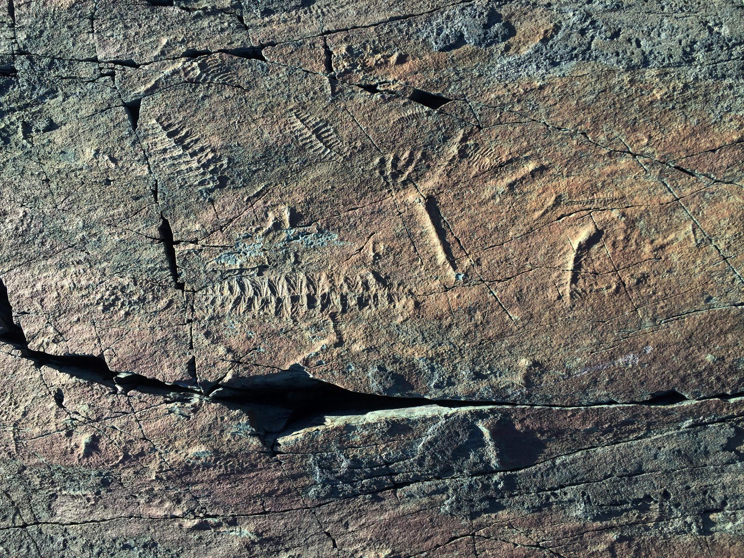 地球大气中的氧气水平在10亿年前