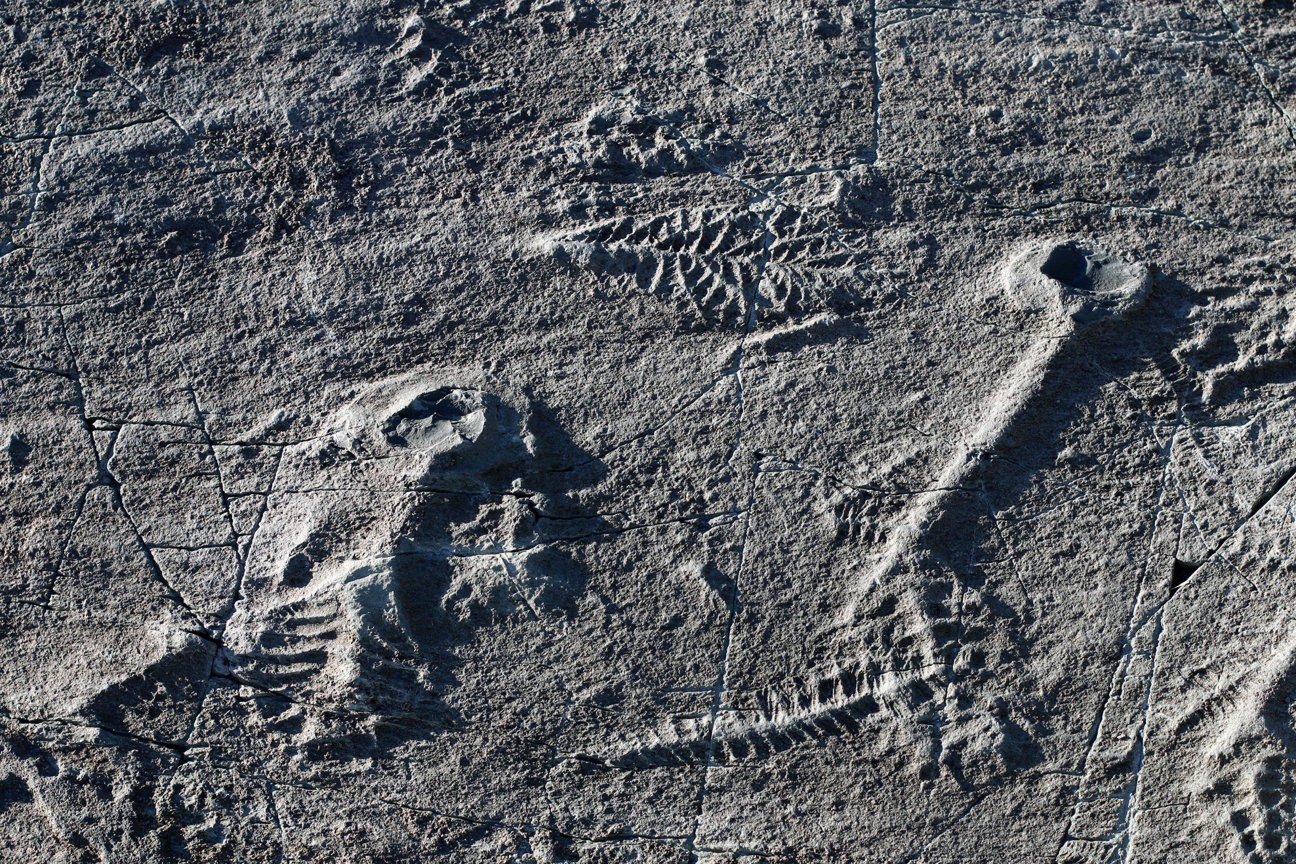 地球大气中的氧气水平在10亿年前