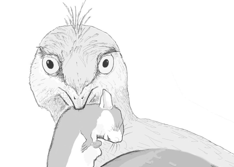 1.2ǰСʯǼܺвزද֫