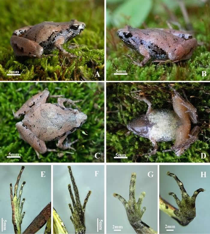 ���շ����������֡������ɽ����