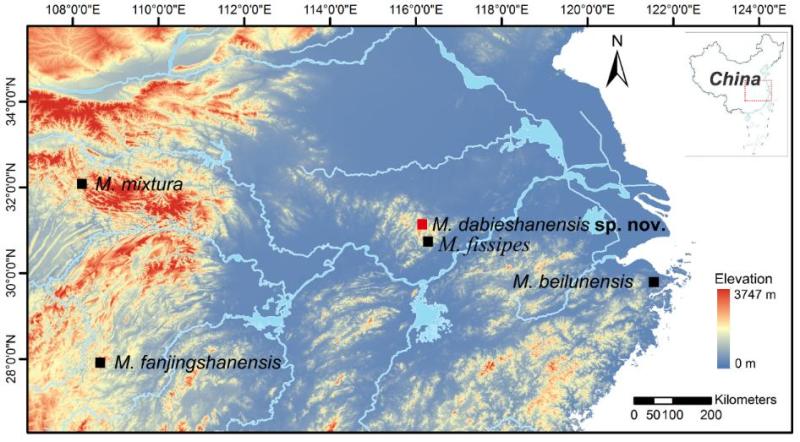 ���շ����������֡������ɽ����