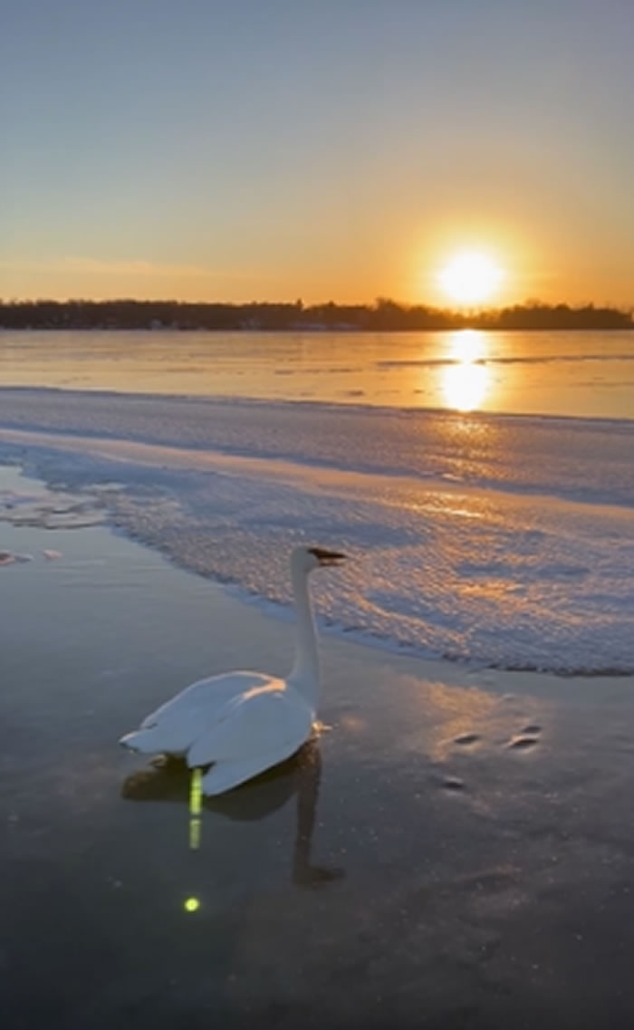 ���������մ������οͳ�������콽����ƿ��ˮ ȴ��ó���