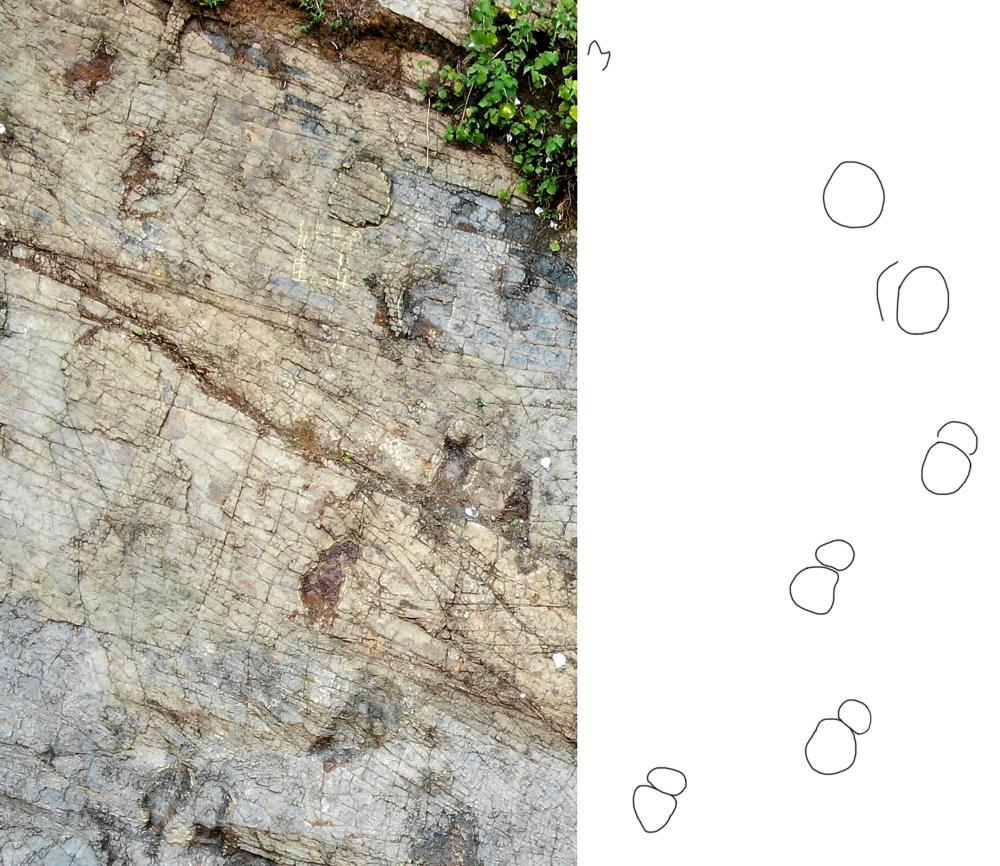 湖北西部的秭归盆地首次发现侏罗纪恐龙足迹化石