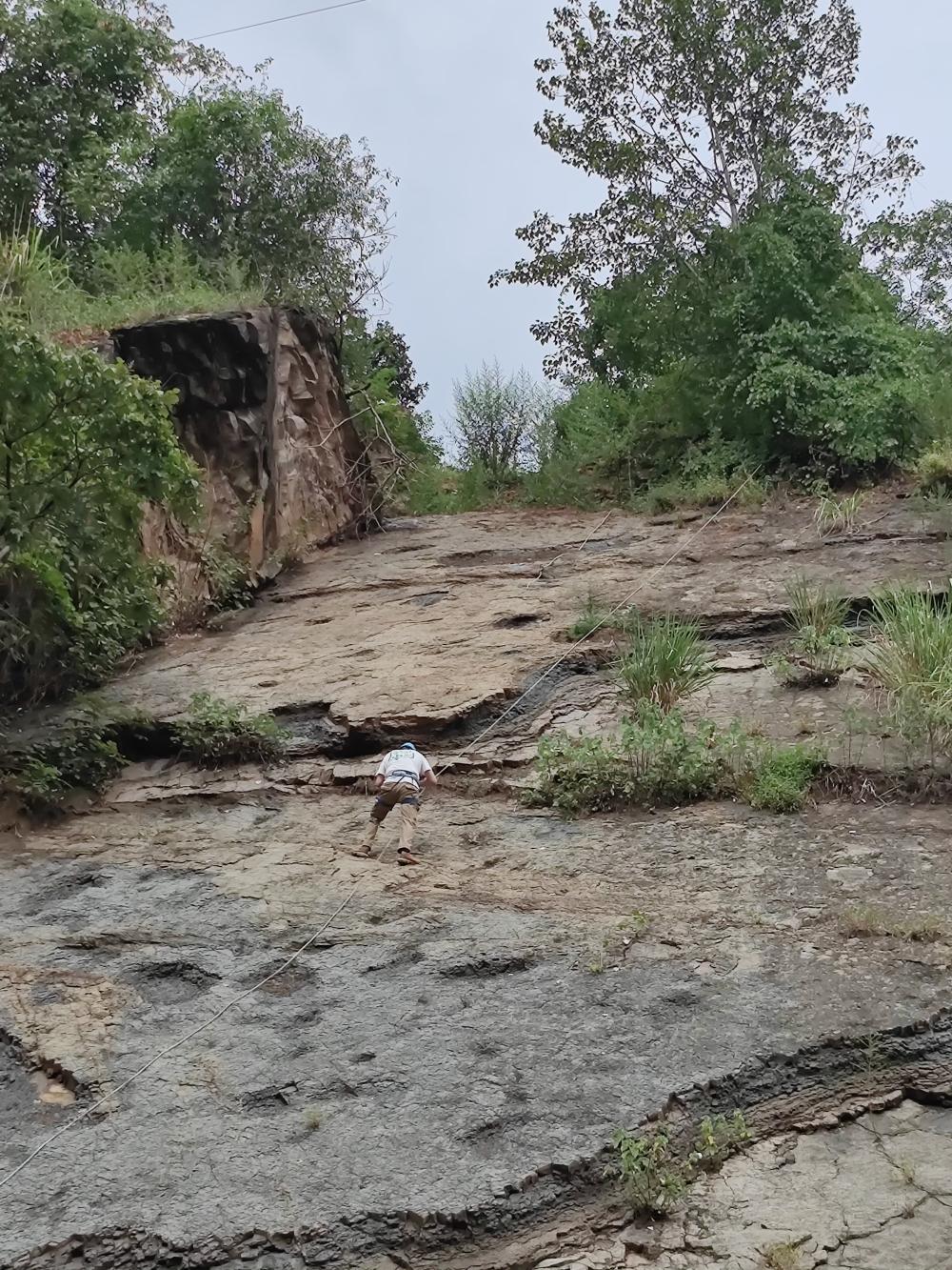 湖北西部的秭归盆地首次发现侏罗纪恐龙足迹化石