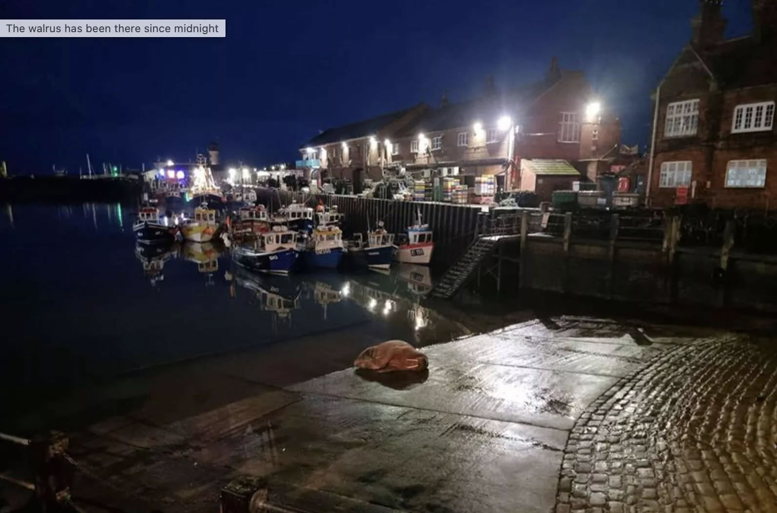 ��������ͻȻ��� Ӣ��Լ�˿�˹������С�����ȡ�������̻𱣻���