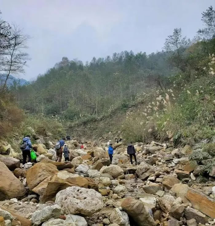 四川省彭州市白鹿镇天生桥村山沟发现大量化石已被禁入 专家:研究价值高于收藏价值