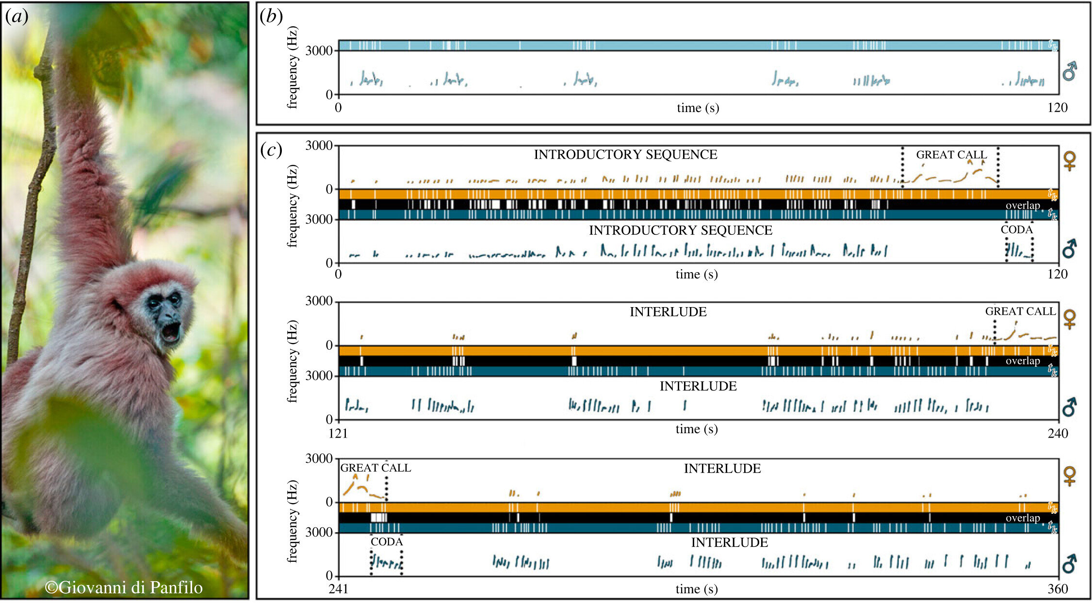 ����ĳ���Գ�ڱ��ݶ��س�ʱ���н���