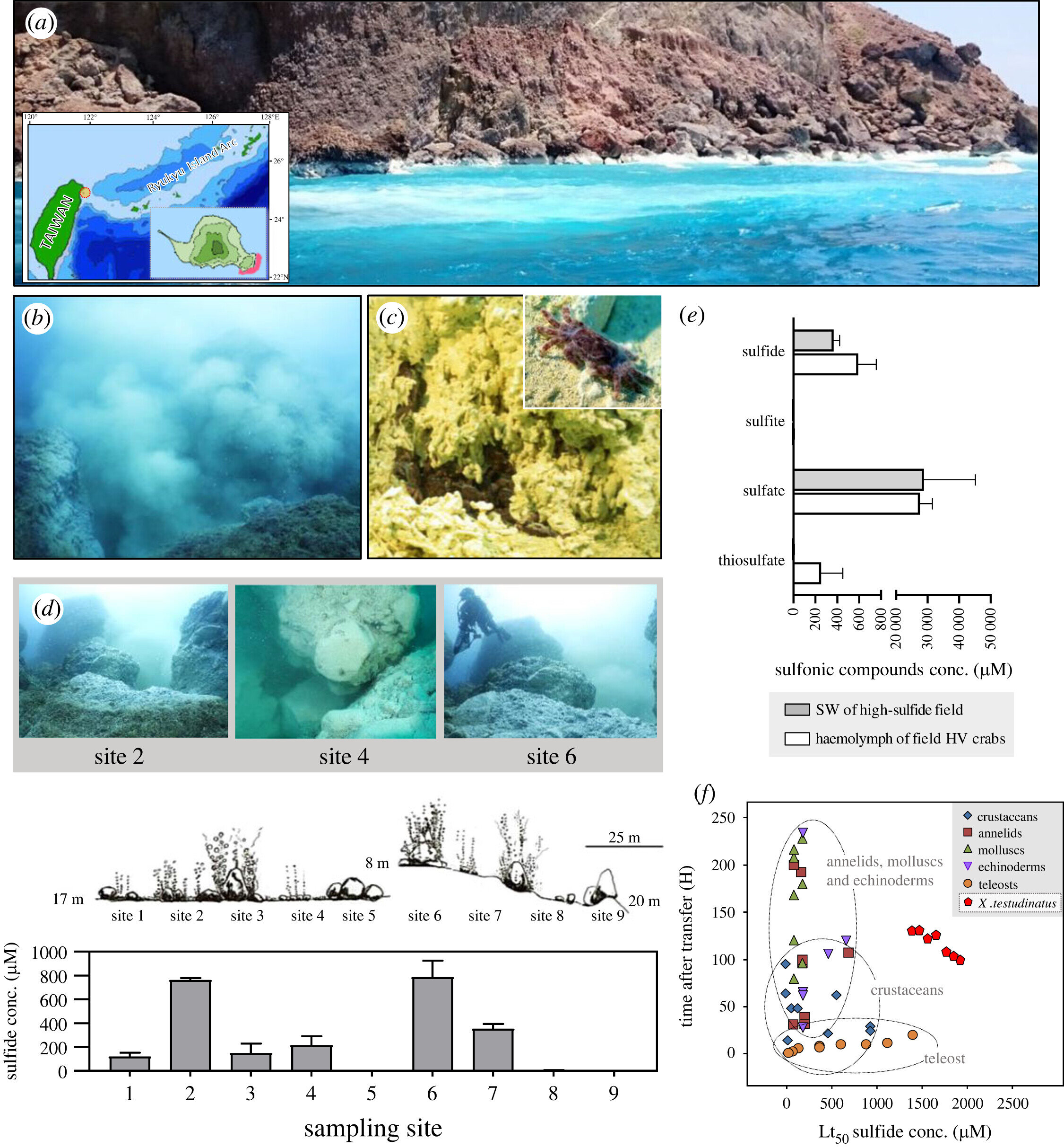 ����з�����ǳˮ��Һ��ڸ����ĸ����Ե�������