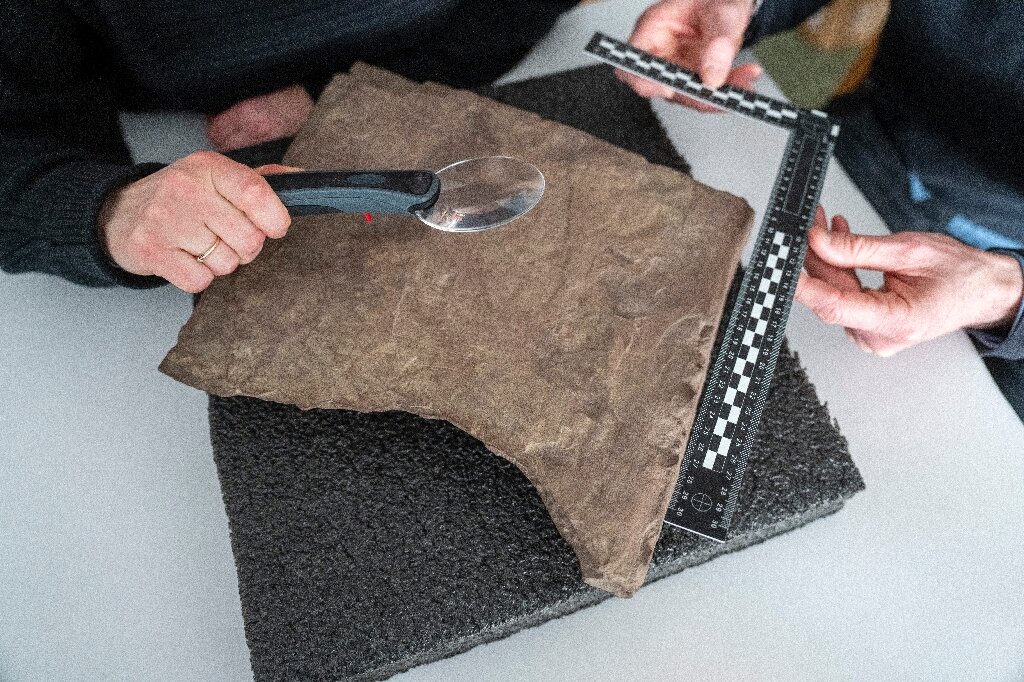 Ų������ѧ��������������������ϵĽ�2000��ǰ�ķ�ʯ