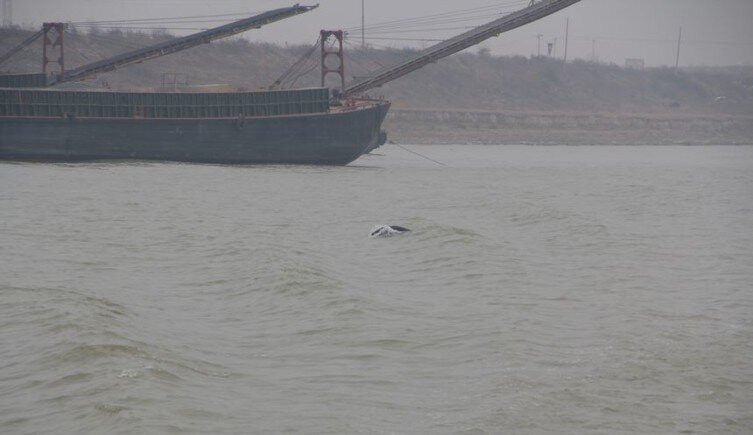 ���ȱ�Σ�ĳ��������и��ռ���