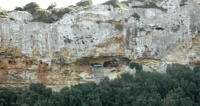 ÷ŵ����Ĺ���о�������ͭʱ�������˶�����ͬ��ʳ�� ��һ�����ƽ�ȵ�Ⱥ��