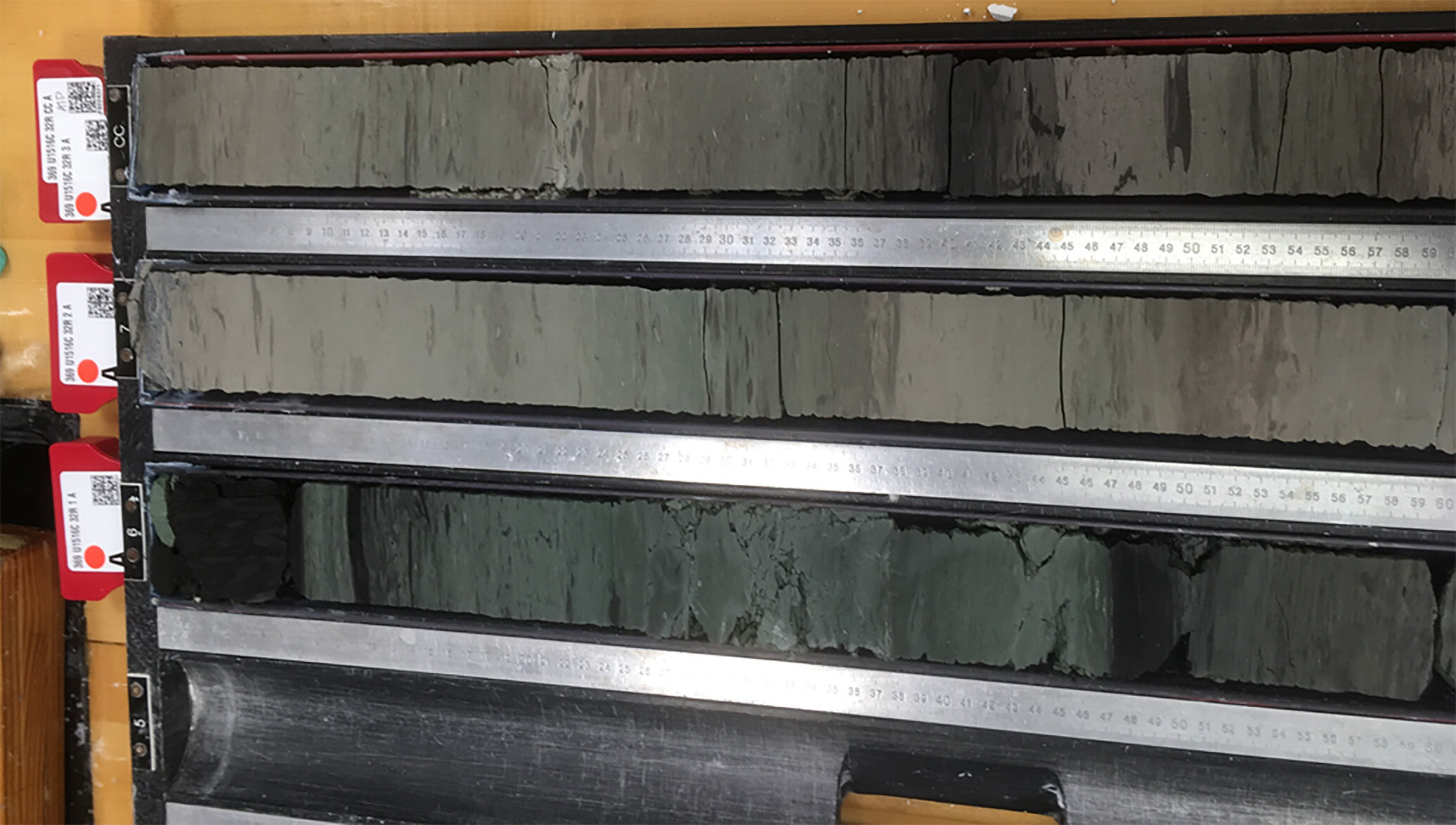 畸形的贝壳,古老的沉积物提供了关于地球过去的线索