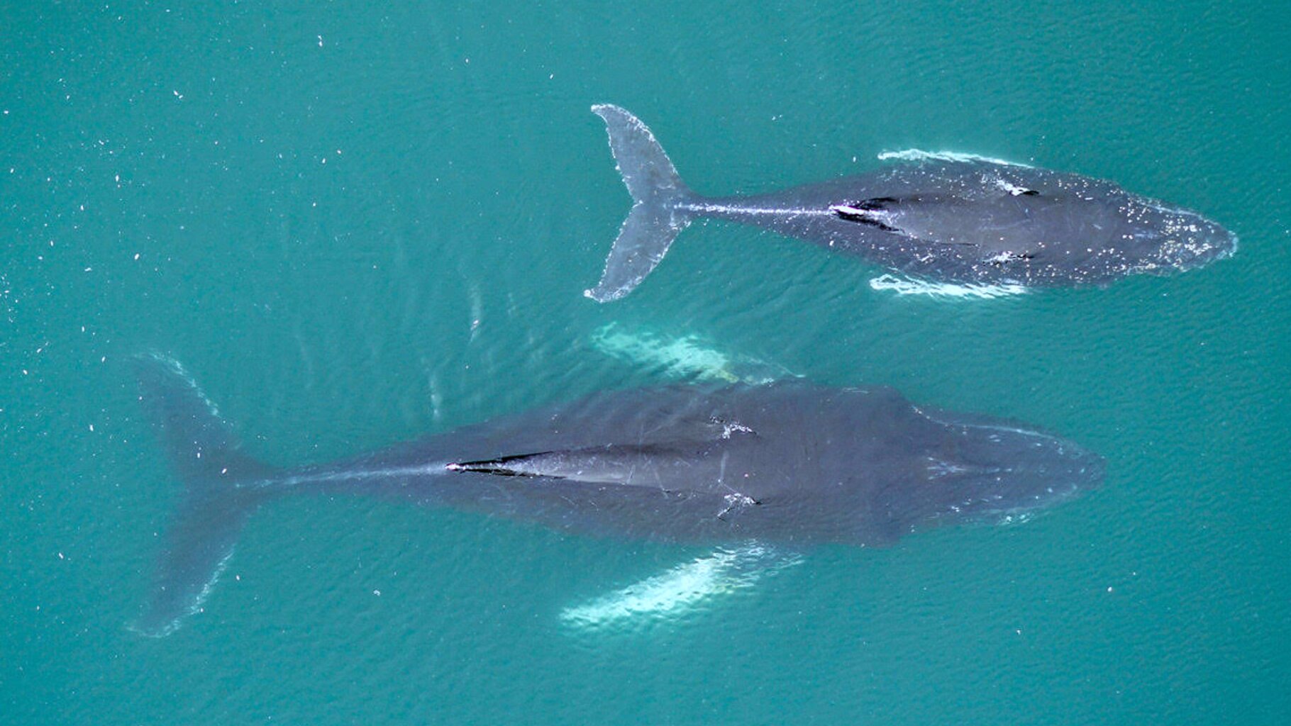 ��ȫ��仯����ѧ�����о�������Ϻ��Ӧ���ٻ�Ӱ����ͷ������