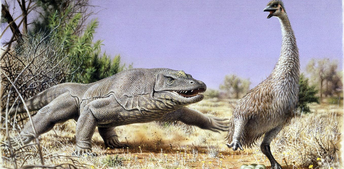 破解澳大利亚史前巨蛋之谜