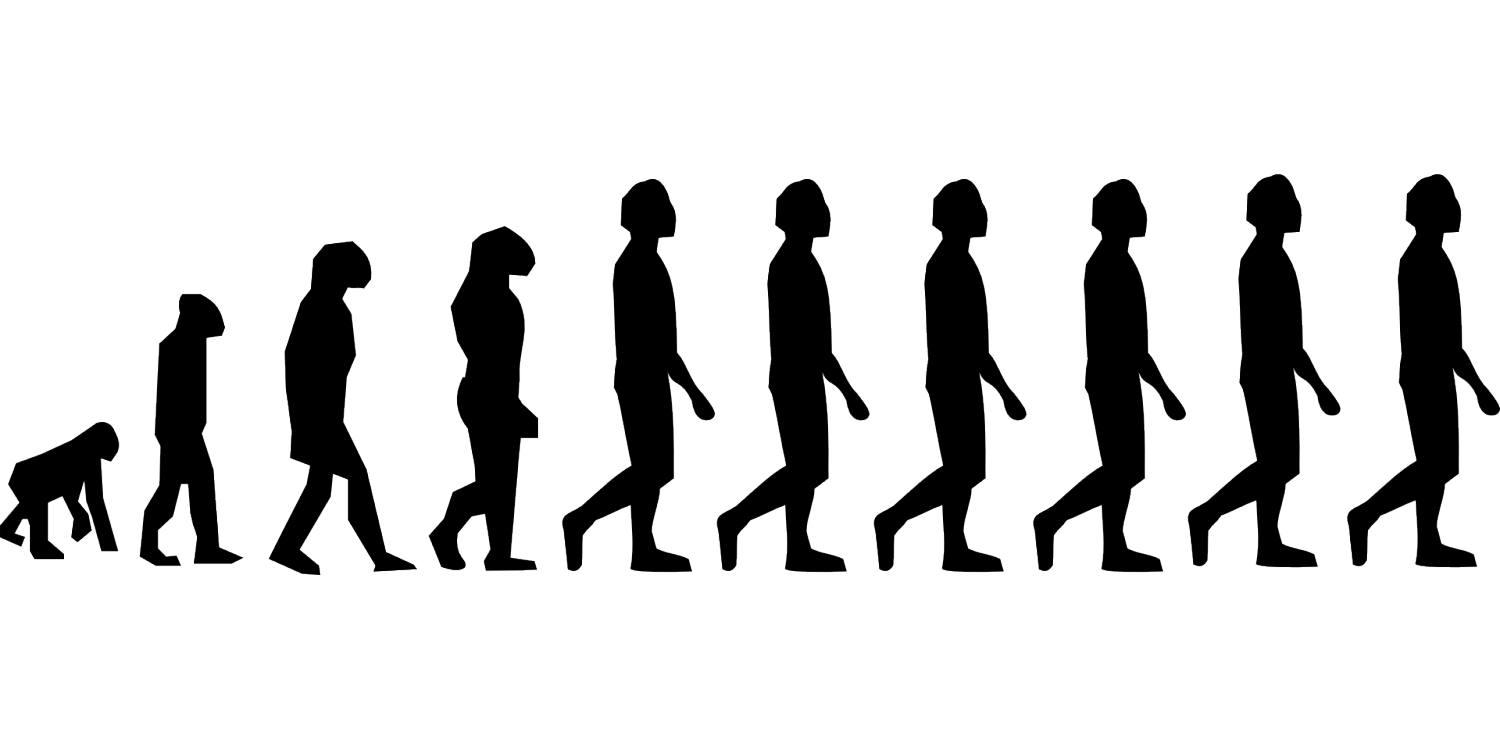 生态学家:大型哺乳动物塑造了非洲人类的进化