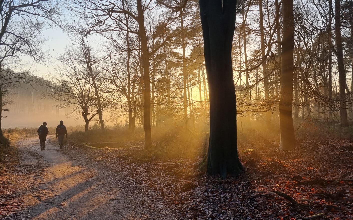 公民科学家考古发现了1000多个新的坟墓