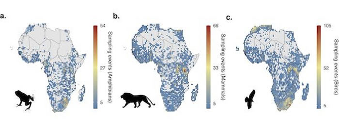 研究人员:以目前的速度绘制非洲生物多样性地图需要150年