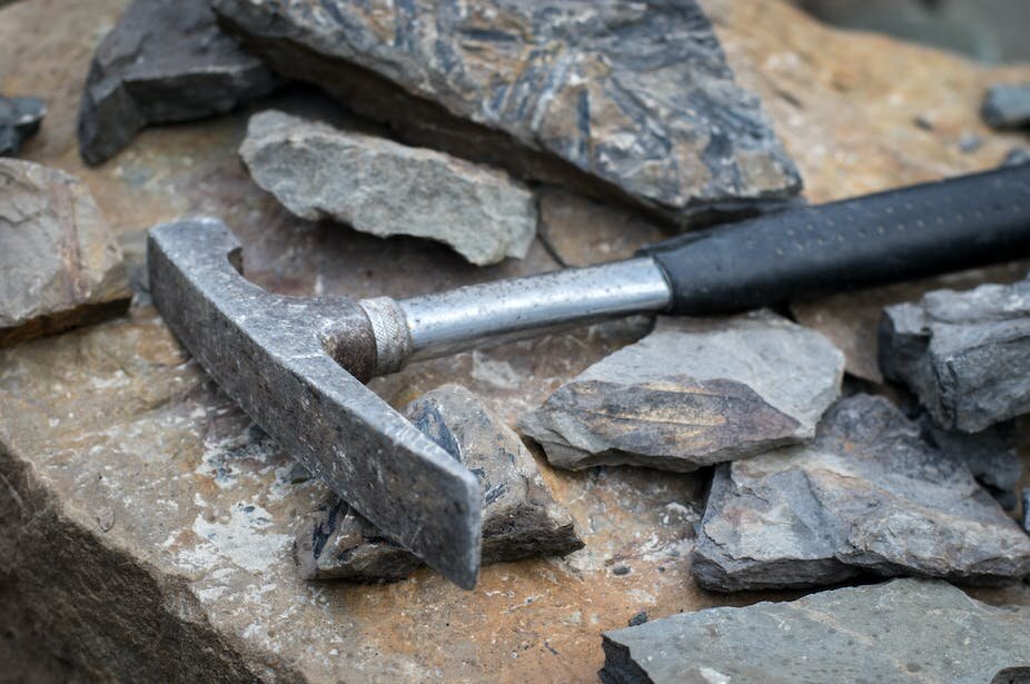 加拿大北极高地埃尔斯米尔岛发现两种新的史前灵长类动物化石 距今5200万年前