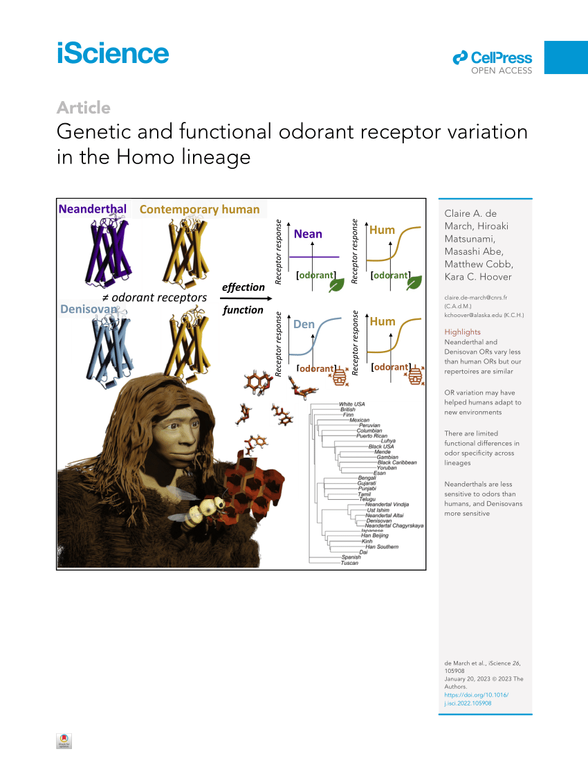 ��ʵ���������ᰲ�����˺͵��������˵���ζ���� �����������ִ��������ȵ�������