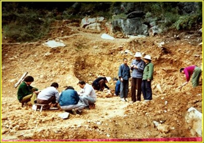 黄万波:把91岁当19岁来过,我要找到第二个“龙骨坡”