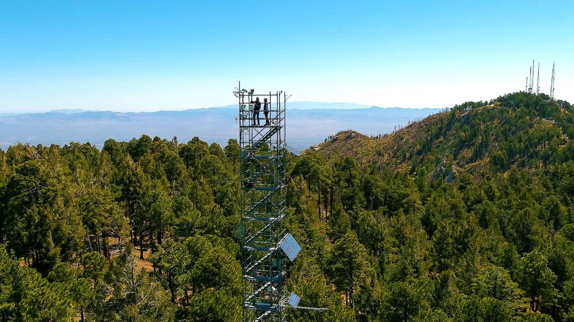 ΢�����ǵ�����ʯ�����������еġ���Ծ����ʦ��