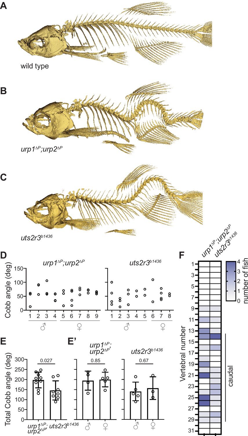 ��������о������ڽ�ʾ�����������Դ