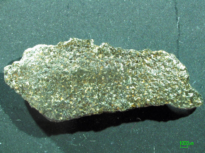 日本熊本县御船町发现白垩纪晚期的恐龙蛋化石