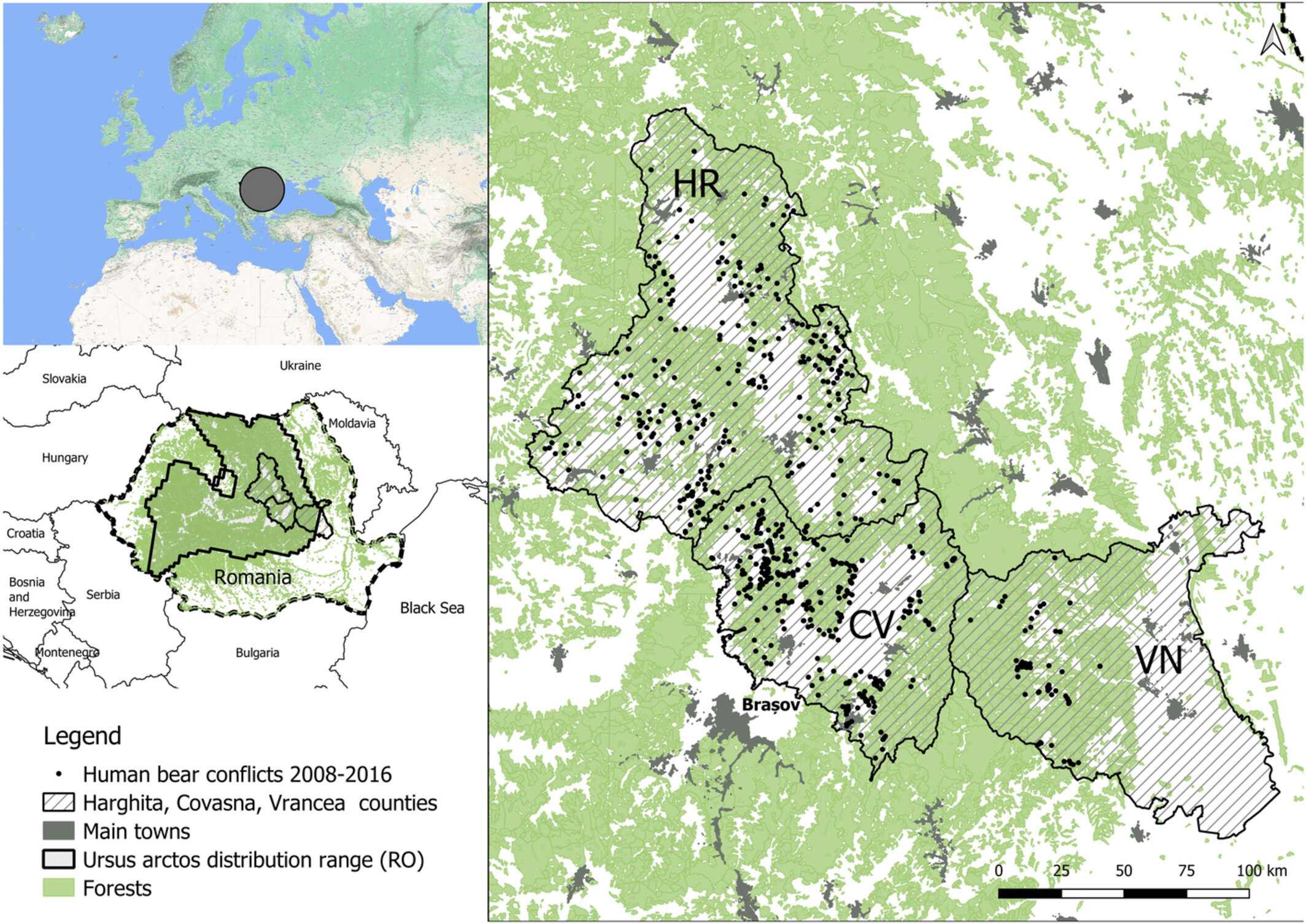 罗马尼亚棕熊对牲畜捕食风险的首次评估